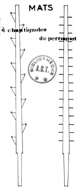 mâts