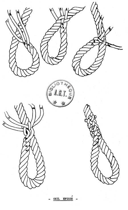 œils épissés